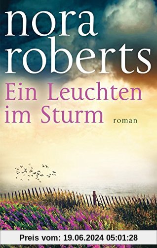 Ein Leuchten im Sturm: Roman